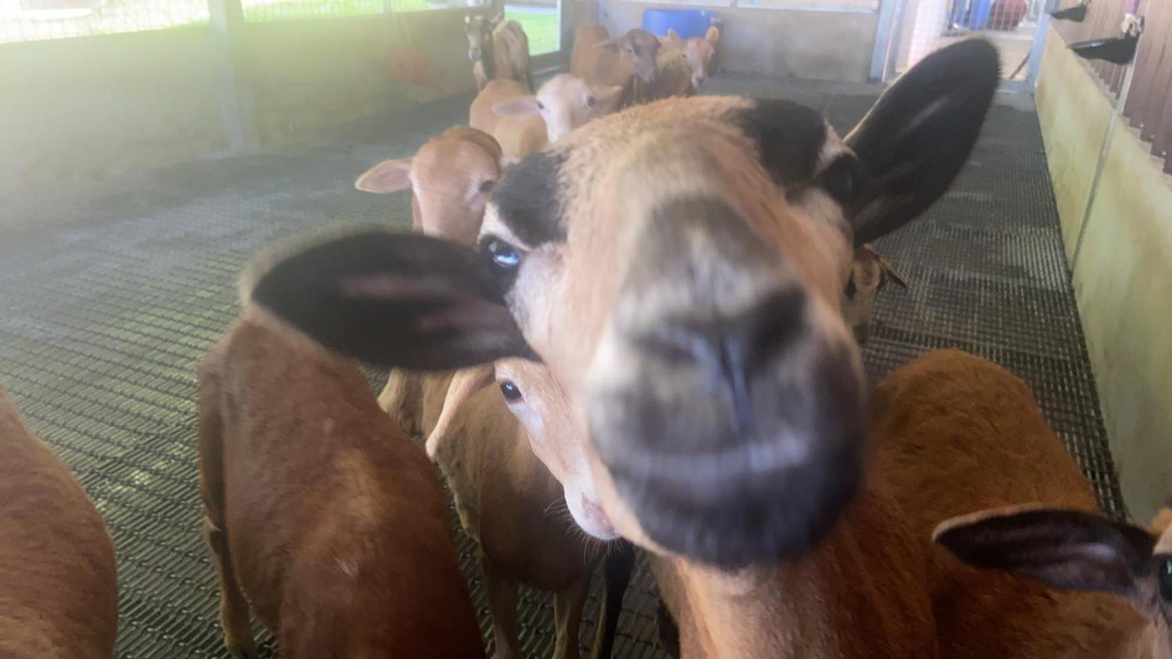 River Forest Leisure Farm Dongshan  Dış mekan fotoğraf