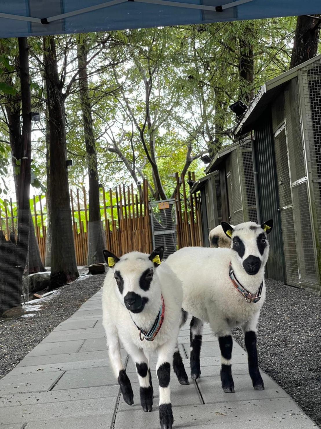 River Forest Leisure Farm Dongshan  Dış mekan fotoğraf