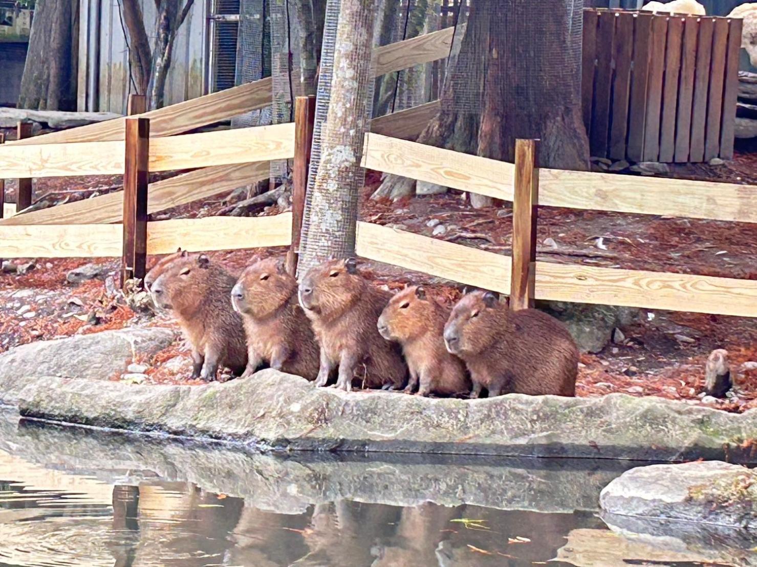 River Forest Leisure Farm Dongshan  Dış mekan fotoğraf