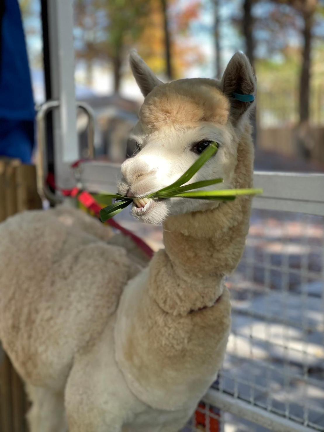 River Forest Leisure Farm Dongshan  Dış mekan fotoğraf