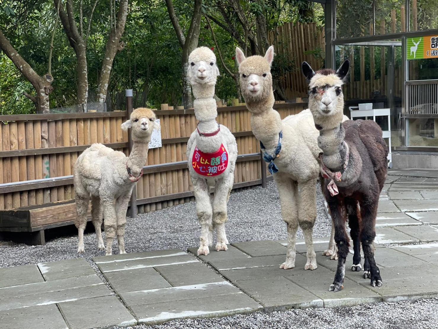 River Forest Leisure Farm Dongshan  Dış mekan fotoğraf