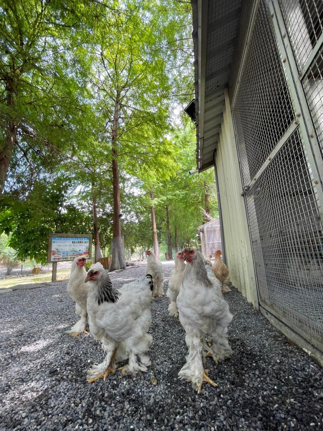 River Forest Leisure Farm Dongshan  Dış mekan fotoğraf